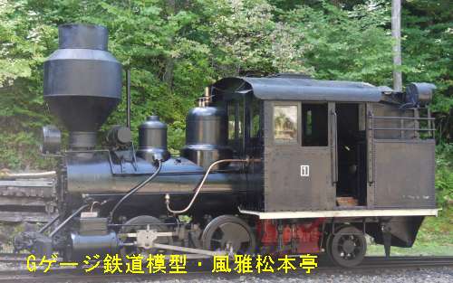 木曽森林鉄道の機関車。2010年(平成22年)9月、赤沢森林鉄道(長野県木曽郡上松町)にて撮影。