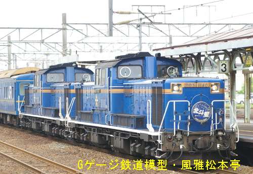 DD51。2007年(平成19年)6月、JR室蘭本線苫小牧(とまこまい：北海道苫小牧市)駅にて撮影。