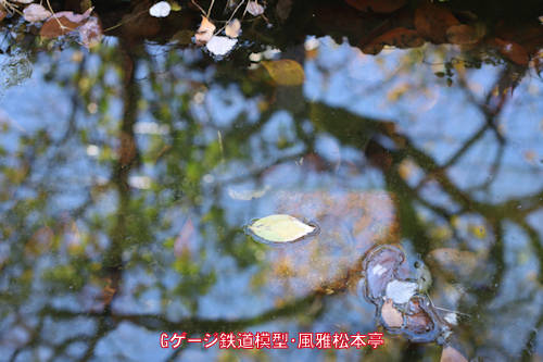キヤノン／EFレンズ50mm・f1.8での撮影例。拙宅の庭の池です。2021年(令和3年)11月、拙宅の庭(武蔵国某辺境)にて撮影。