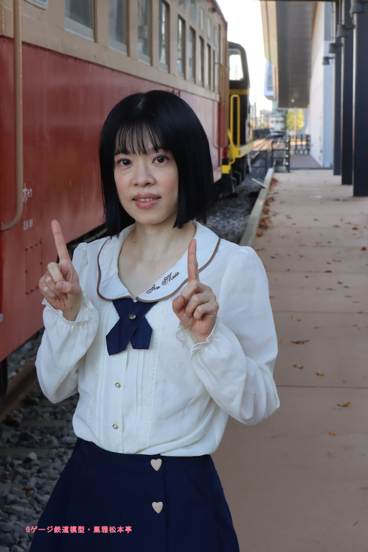 キヤノン製広角単焦点レンズ「EF-M22mm f2 STN」でのボケ方の例。