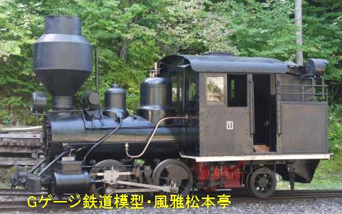 ボールドウィン製蒸気機関車(赤沢自然休養林)。Baldwin made steam locomotive, Akazawa Shizen Kyuyou-rin of Japan.