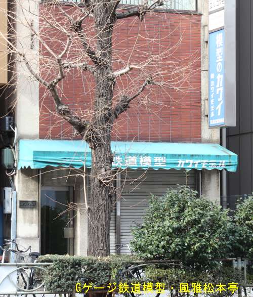 カワイモデル。2017年(平成29年)2月撮影。