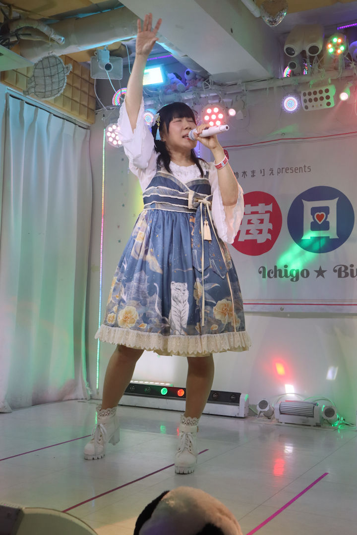 ほしみらい姫。2025年(令和7年)10月、ライブスペース・マリールー(東京都北区)にて開催された「苺日和」に際して撮影。