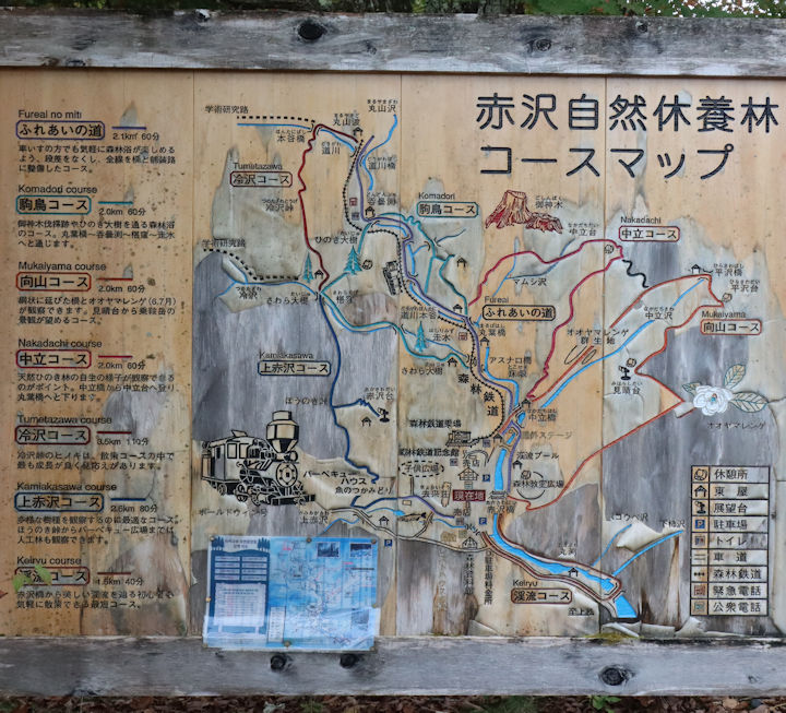赤沢森林鉄道？の全体図。2025年(令和7年)10月、赤沢自然休養林(長野県木曽郡上松町)にて撮影。