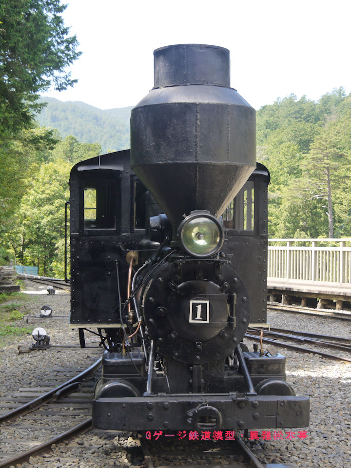 赤沢森林鉄道一号機、ボールドウィン(Baldwin)製のリアタンク機。2010年(平成22年)9月、赤沢森林鉄道(長野県木曽郡上松町)にて撮影。