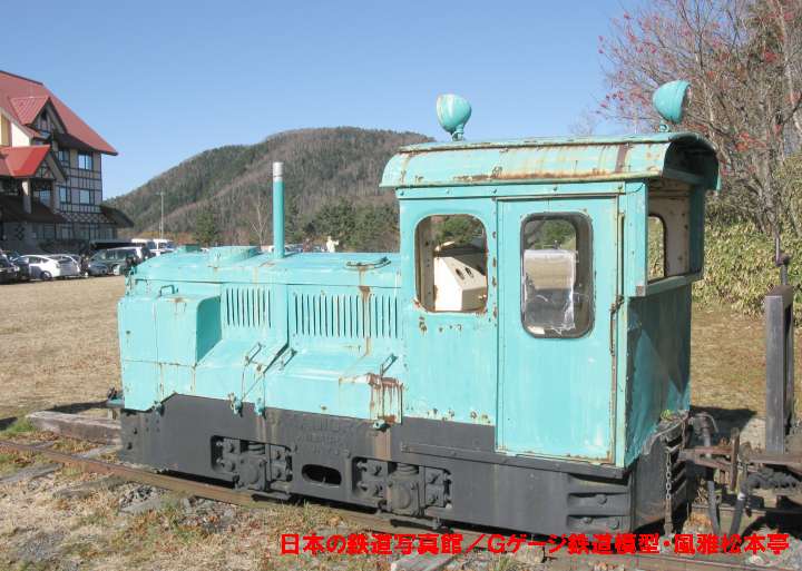 遠山森林鉄道79号機。2008年(平成20年)11月、「ハイランドしらびそ(長野県飯田市)」にて撮影。
