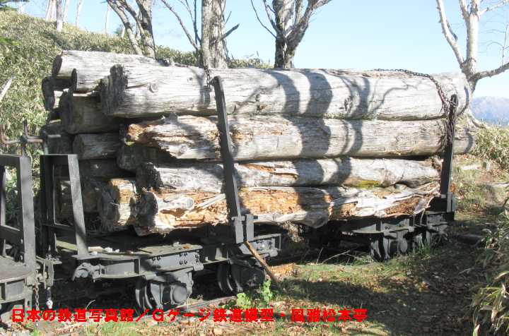 遠山森林鉄道の貨車。2008年(平成20年)11月、「ハイランドしらびそ(長野県飯田市)」にて撮影。
