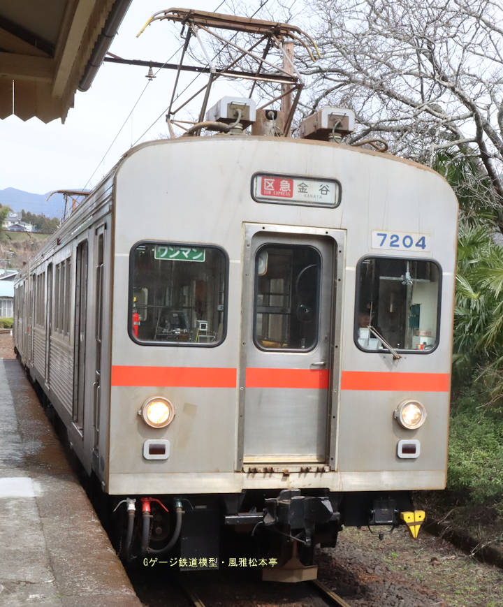 大井川鐵道モハ7204＋モハ7305。2025年(令和7年)3月、大井川鐵道大井川本線家山(いえやま：静岡県島田市)駅にて撮影。