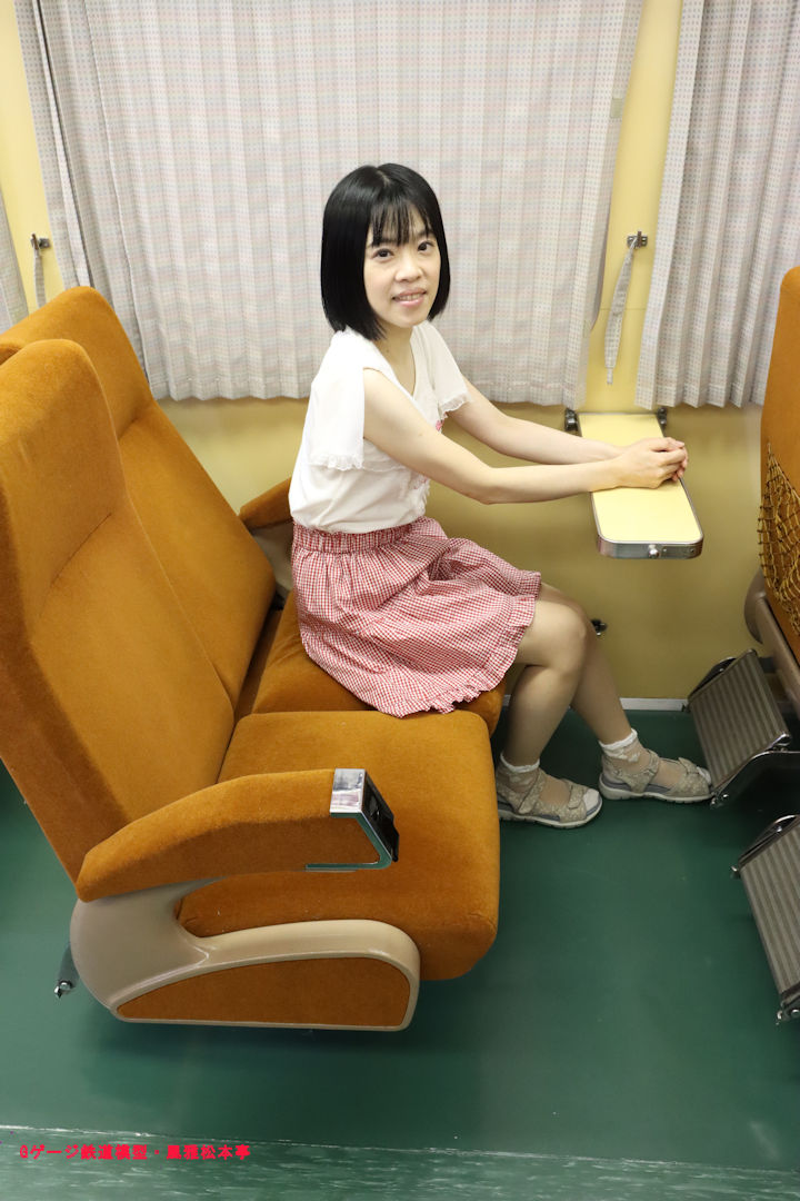 東武博物館に展示されている1720系の客室。2025年(令和7年)9月、東武博物館(とうぶはくぶつかん：東京都墨田区東向島四丁目28-16)にて撮影。