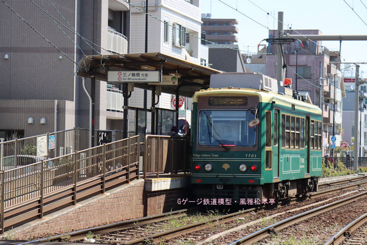東京都交通局7701号。2025年(令和7年)4月、都電荒川線荒川遊園地前(あらかわゆうえんちまえ：東京都荒川区)電停にて撮影。