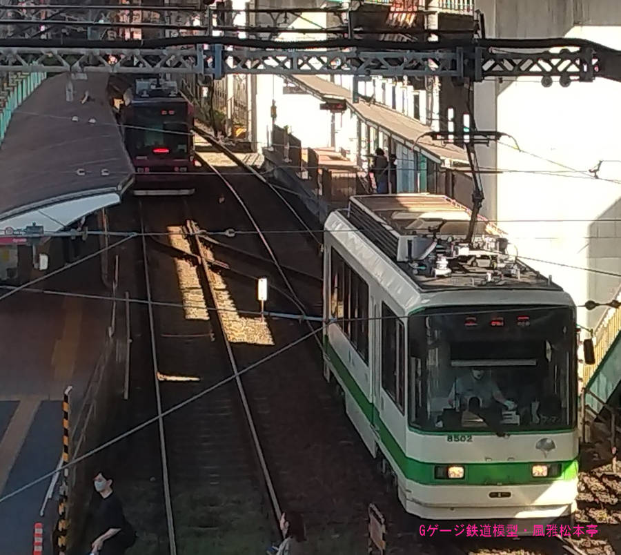 東京都交通局8502号。2024年(令和6年)5月、都電荒川線王子駅前(おうじえきまえ：東京都北区)電停付近にて俯瞰気味に撮影。