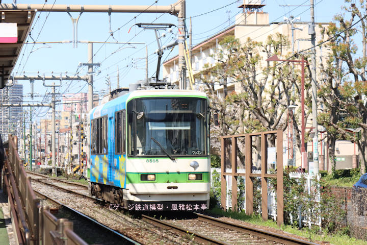 東京都交通局8505号。2025年(令和7年)4月、都電荒川線荒川遊園地前(あらかわゆうえんちまえ：東京都荒川区)電停にて撮影。