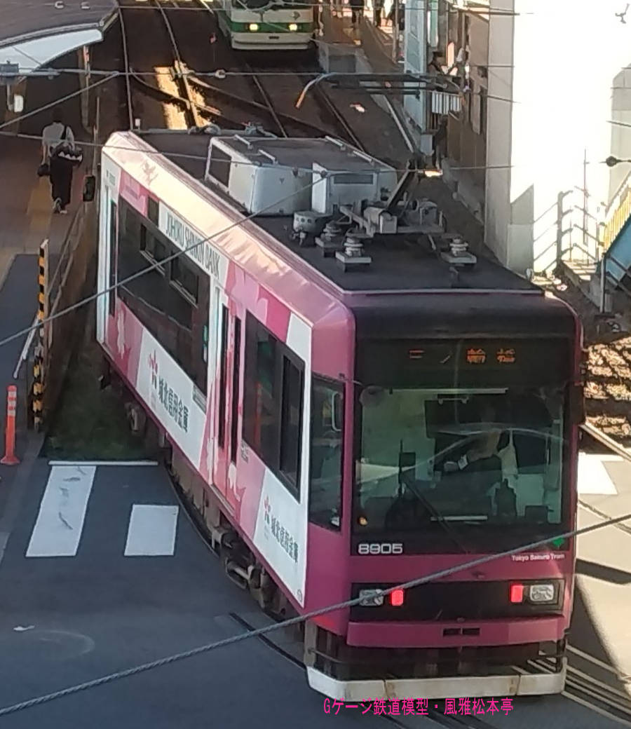 東京都交通局8905号。2024年(令和6年)5月、都電荒川線王子駅前(おうじえきまえ：東京都北区)電停附近にて俯瞰気味に撮影。