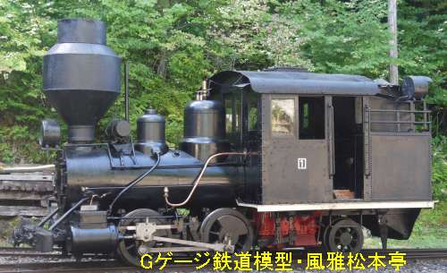ボールドウィン製蒸気機関車(木曽森林鉄道のリアタンク機)。